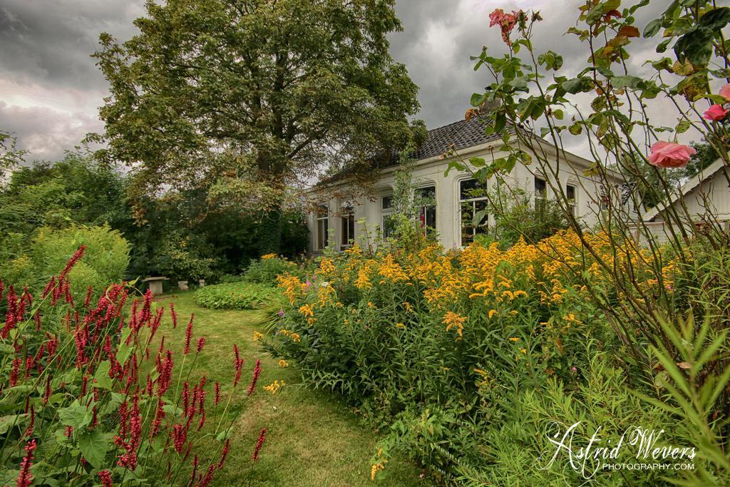 Koningin Van Pieterburen Bed and Breakfast Eksteriør billede